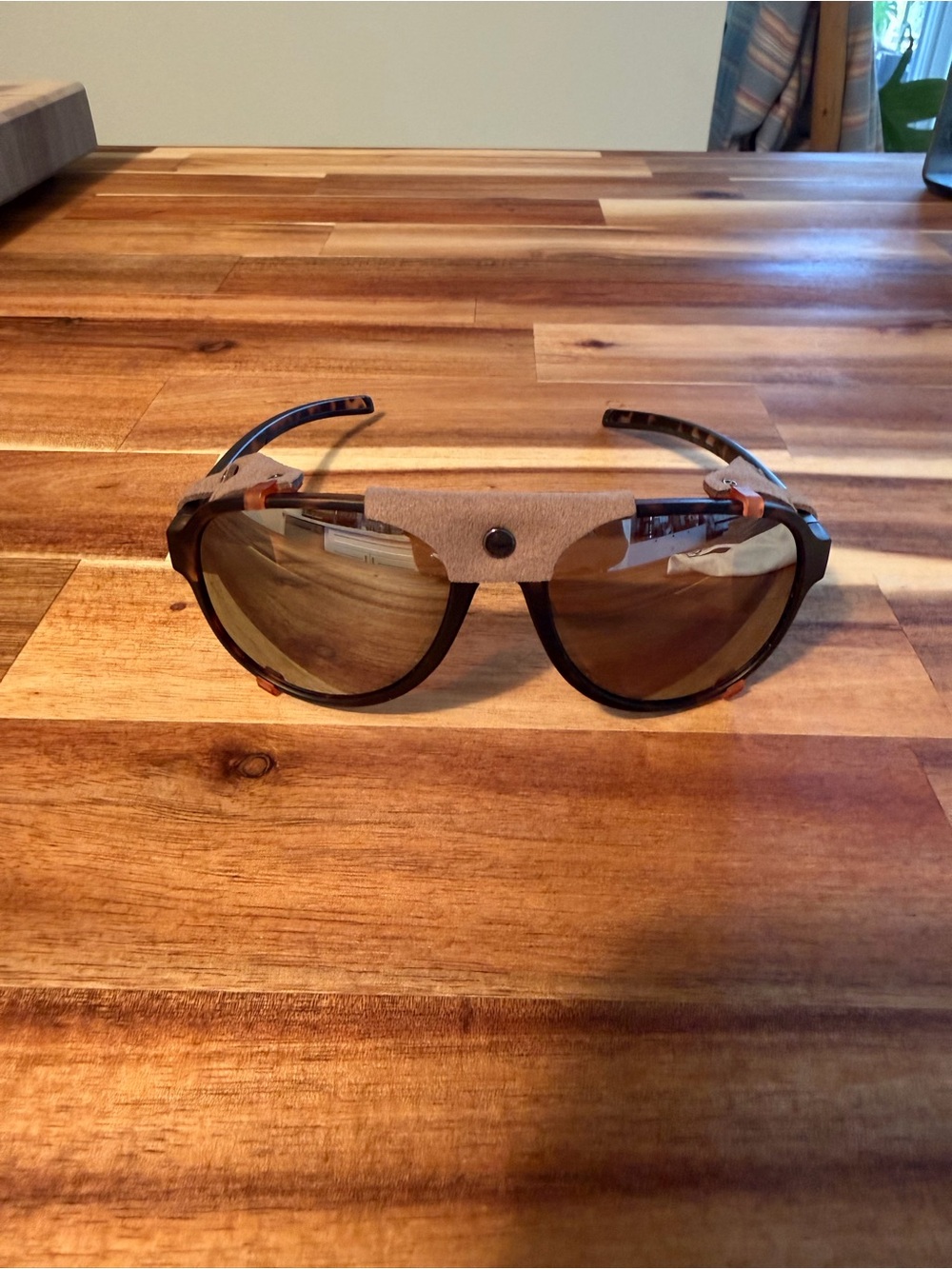 Men's Alpine Sunglasses